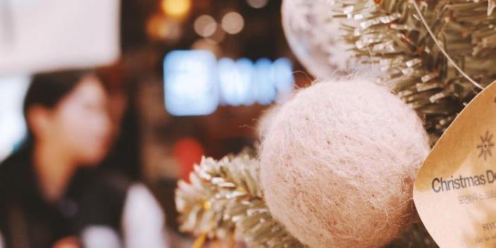 home for the holidays