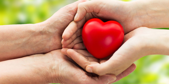 senior care services